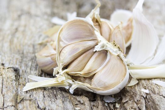 fresh garlic