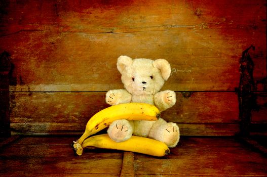 Teddy bear with ecological bananas.