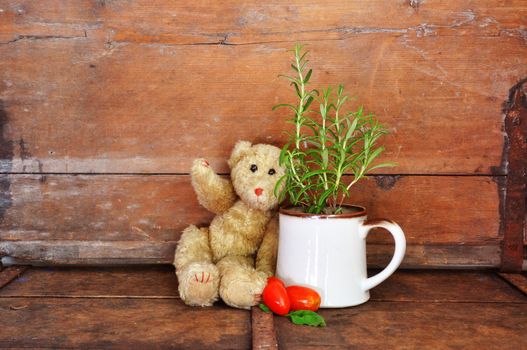 Vintage teddy bear with herbs and tomatoes, 