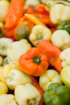 colorfull aromatic fresh bell pepper paprika on market in summer macro closeup