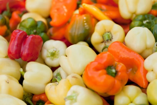 colorfull aromatic fresh bell pepper paprika on market in summer macro closeup