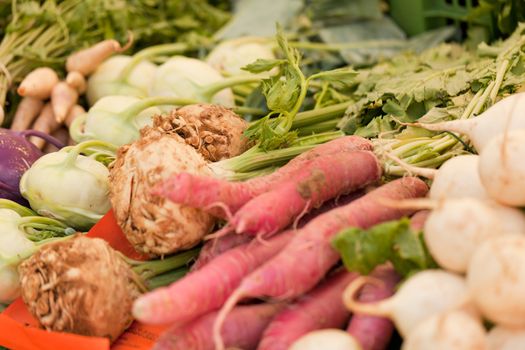 fresh root vegetable carrot potatoes onion beet on market in summer 