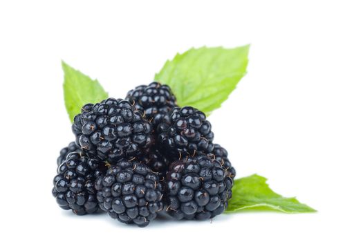 Macro view of fresh ripe blackberries