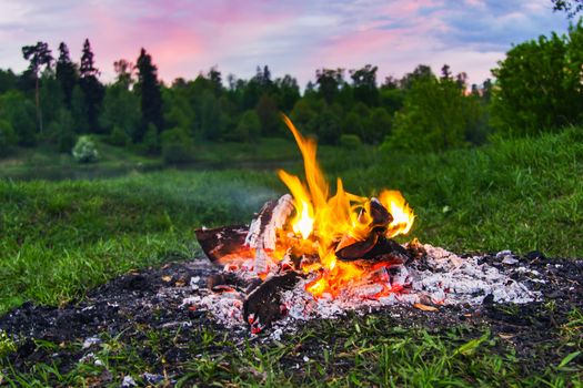 Fireplace in forest at dusk the evening