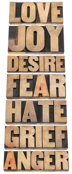 seven emotions - love, joy, desire, fear, hate, grief and anger - a collage of isolated words in letterpress wood type