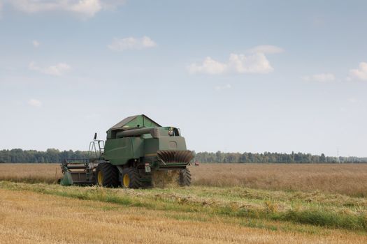 harvesting combine in the wheat field