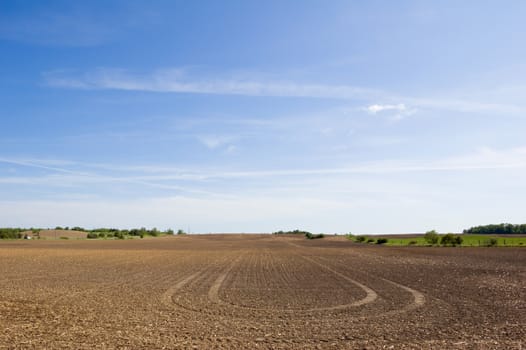 Agriculture farm under high blue sky