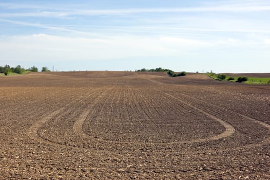 Agriculture farm under high blue sky