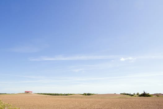 Agriculture farm under high blue sky