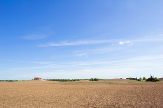 Agriculture farm under high blue sky