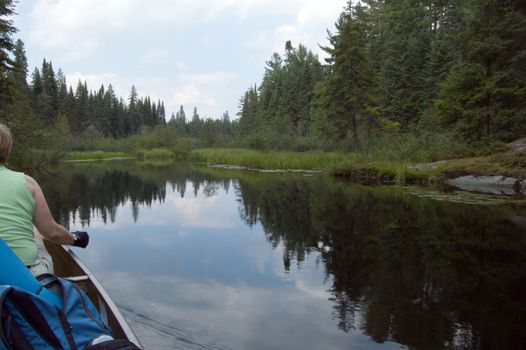 Canoe trip in calm lake in Algonquin Park