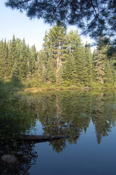Sunrise on the forest lake in Algonquin Park. Lost Joe Lake