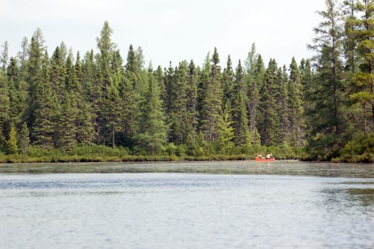 Canoeing Wetland part of Otterslide Lake in Algolquin Park