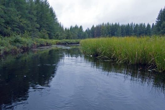 Wetland part of Otterslide Lake in Algolquin Park 
