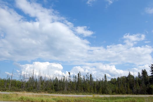 Highway through Muskoka country under cloudy sky