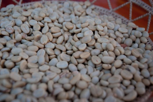 a raw coffee bean