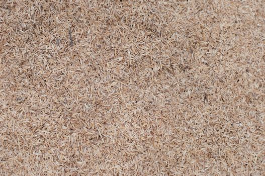 the rice husk for making fertilizer