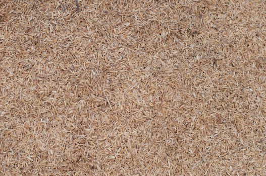 the rice husk for making fertilizer