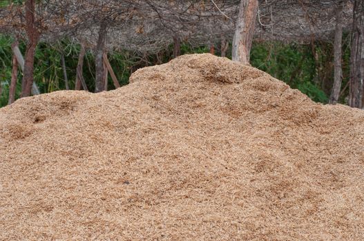 the rice husk for making fertilizer