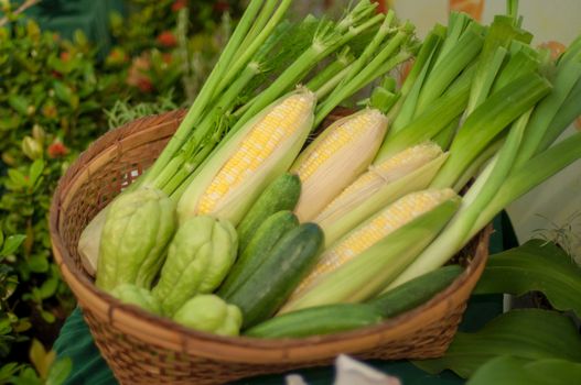 a basket of vegetables, sweet corn, bitter gorud and scallion