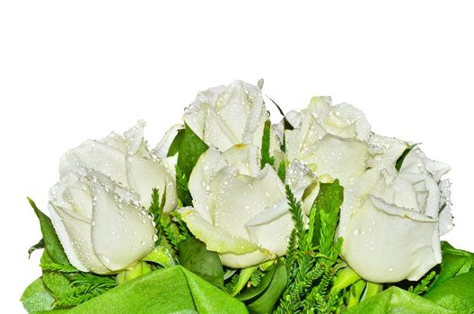 Bouquet of white roses on white background