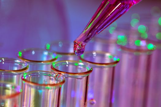 Pipette adding fluid to one of several test tubes
