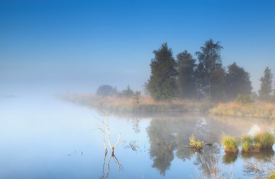 morning fog over wild lake, Fochteloerveen, Drenthe, Netherlands