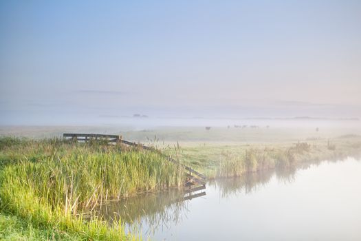 misty morning in farmland over river