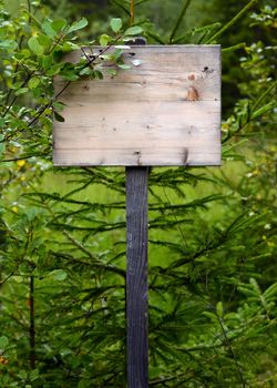 A Grungy Overgrown Wooden Sign In The Wilderness For Your Text