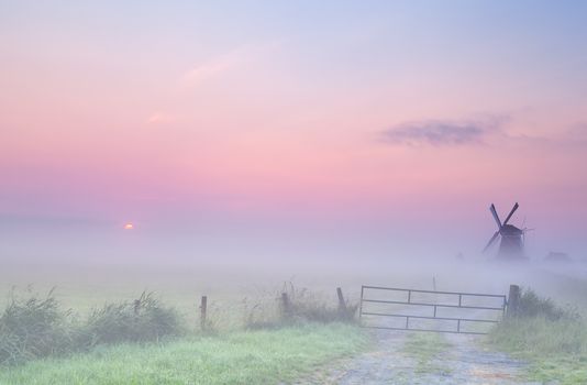 misty sunrise on Dutch farmland with windmill