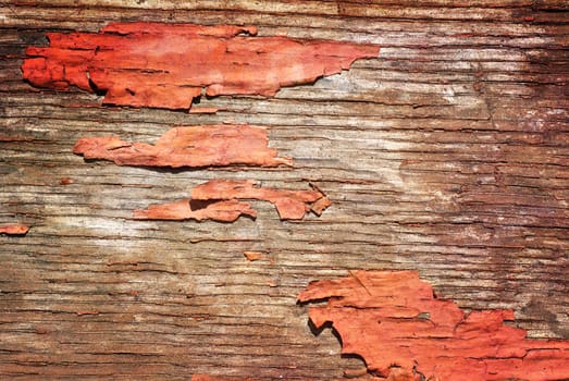 closeup of old wood planks texture background