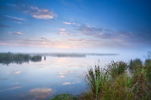 calm misty morning over wild lake, Drenthe, Netherlands