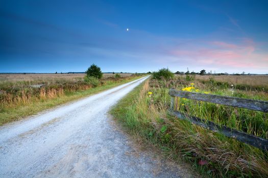 countryside road among swamps in moonlight