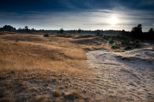 warm summer sunrise over dunes and hills, Drenthe, Netherlands