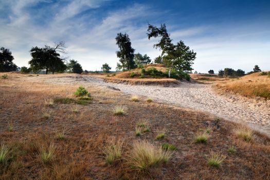 countryside path among sand dunes, Friesland, Netherlands