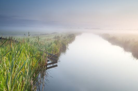 canal in Dutch farmland during misty morning