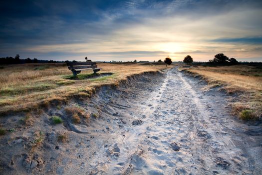 bench by sand road at warm summer sunrise