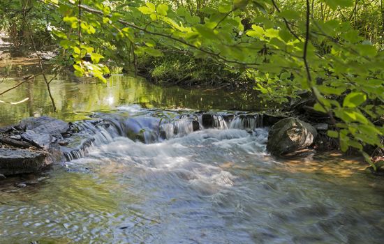 running water in the river semois in belgium  nature