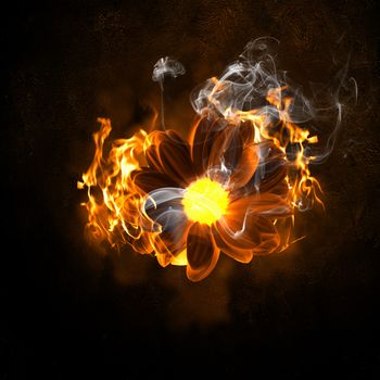 Illustration of flower in fire flames. Danger concept