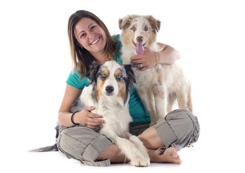 purebred australian shepherds and woman  in front of white background