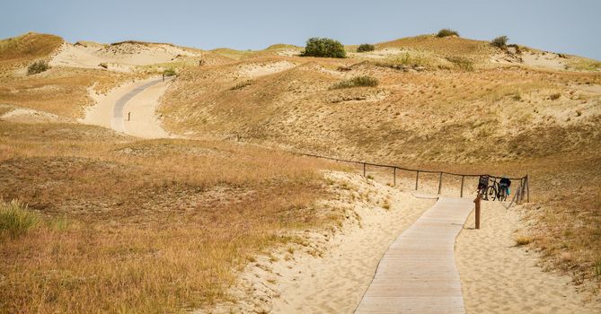 wooden trail with posted on dune Nagliu, Curonian Spit, Lithuania