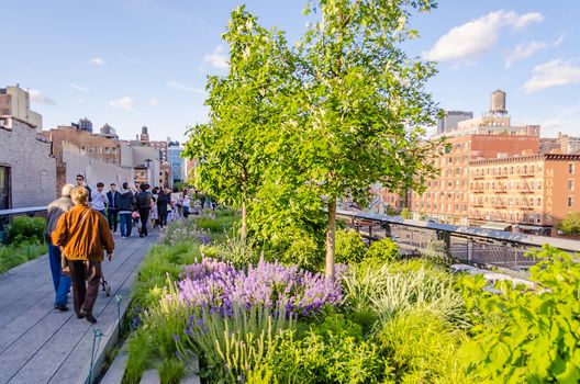 NEW YORK - CIRCA MAY 2013: The High Line Park, New York, circa May 2013. The High Line is a popular linear park built on the elevated train tracks above Tenth Ave in New York City.