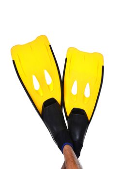 yellow fin isolated on a white background