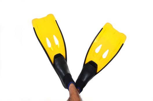 yellow fin isolated on a white background