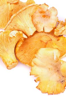 Heap of Big Raw Golden Chanterelles isolated on white background