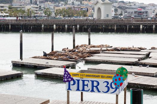 Pier 39 on San Francisco's Bay offers several waterfront attractions including dining, shopping, live entertainment and sea lions.