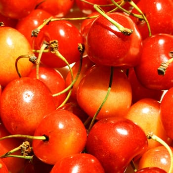 sweet red cherry macro close up