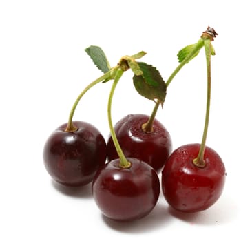sweet cherry isolated on white background