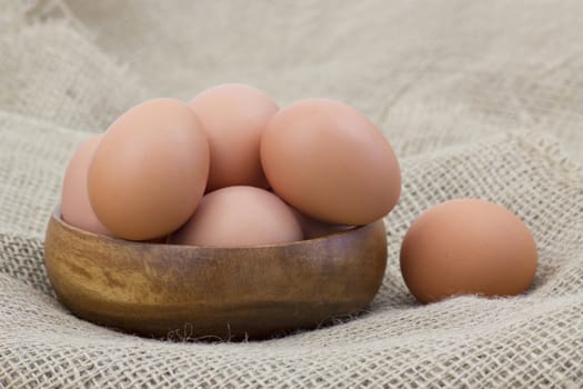 eggs