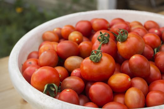 Red tomatoes in a white dish on village